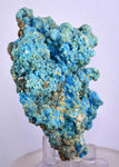 9cms CHALCANTHITE ROMERITE ALUNOGEN Natural Botryoidal Crystals Melanterite Pyrite New Find Peru Translucent Rare Stable For Display F453