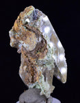 5.7cms SELENITE CRYSTALS CHRYSOCOLLA Lily Mine Peru Gypsum Mineral Specimen T460