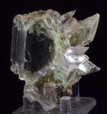7.1cms SELENITE CRYSTALS CHRYSOCOLLA Lily Mine Peru Gypsum Mineral Specimen T463