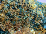 7.1cms CHALCANTHITE ROMERITE ALUNOGEN Natural Botryoidal Crystals Melanterite Pyrite New Find Peru Translucent Rare Stable For Display F456