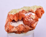 3.8cm RED ORANGE STILBITE Laumontite Crystals Peru Mineral Specimen F449