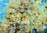 6.8cms CHALCANTHITE ROMERITE ALUNOGEN Natural Botryoidal Crystals Melanterite Pyrite New Find Peru Translucent Rare Stable For Display F460
