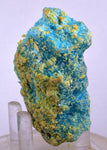 6.8cms CHALCANTHITE ROMERITE ALUNOGEN Natural Botryoidal Crystals Melanterite Pyrite New Find Peru Translucent Rare Stable For Display F460
