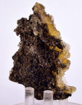 7.1cms GOLDEN SELENITE CRYSTALS Cluster Fish Tail Peru Yellow Gypsum Mineral Specimen T468