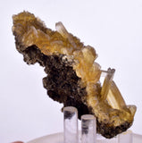 7.1cms GOLDEN SELENITE CRYSTALS Cluster Fish Tail Peru Yellow Gypsum Mineral Specimen T468