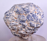 8cms GEM BLUE ANHYDRITE Nodule Bptryidal Crystals Peru Specimen C39