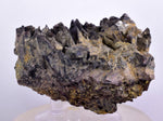 7.5cms GEM AXINITE CRYSTALS Peru Mineral Specimen Collector Old Stock Peru  A622