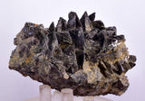 7.5cms GEM AXINITE CRYSTALS Peru Mineral Specimen Collector Old Stock Peru  A622
