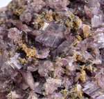 9.5cms GEM AXINITE CRYSTALS Peru Mineral Specimen Collector Old Stock Peru  A623