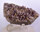 9.5cms GEM AXINITE CRYSTALS Peru Mineral Specimen Collector Old Stock Peru  A623