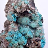 4.8cms DRUZY CHRYSOCOLLA QUARTZ Druzy Chile Inca de Oro Mineral Specimen D283