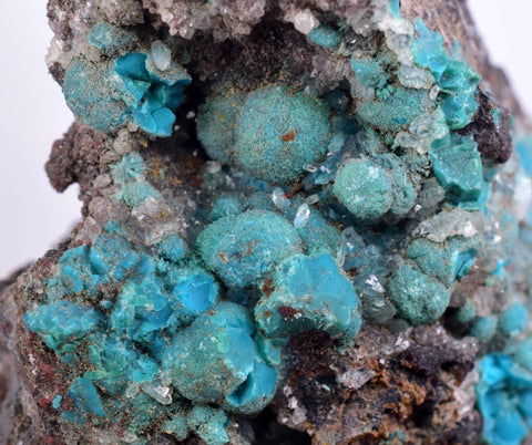 4.8cms DRUZY CHRYSOCOLLA QUARTZ Druzy Chile Inca de Oro Mineral Specimen D283