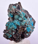 4.8cms DRUZY CHRYSOCOLLA QUARTZ Druzy Chile Inca de Oro Mineral Specimen D283