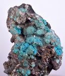 4.8cms DRUZY CHRYSOCOLLA QUARTZ Druzy Chile Inca de Oro Mineral Specimen D283