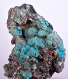 4.8cms DRUZY CHRYSOCOLLA QUARTZ Druzy Chile Inca de Oro Mineral Specimen D283