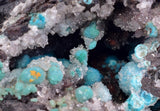 5.7cms DRUZY CHRYSOCOLLA QUARTZ Druzy Chile Inca de Oro Mineral Specimen D284