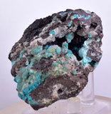 5.7cms DRUZY CHRYSOCOLLA QUARTZ Druzy Chile Inca de Oro Mineral Specimen D284