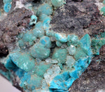 5.7cms DRUZY CHRYSOCOLLA QUARTZ Druzy Chile Inca de Oro Mineral Specimen D284