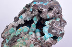 5.7cms DRUZY CHRYSOCOLLA QUARTZ Druzy Chile Inca de Oro Mineral Specimen D284