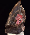2.6cms RHODOCHROSITE CRYSTALS Peru Uchucchacua Mine Gemstone Collector Mineral Specimen R760