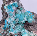 5.7cms DRUZY CHRYSOCOLLA QUARTZ Druzy Chile Inca de Oro Mineral Specimen D285