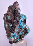 5.7cms DRUZY CHRYSOCOLLA QUARTZ Druzy Chile Inca de Oro Mineral Specimen D285