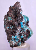 5.7cms DRUZY CHRYSOCOLLA QUARTZ Druzy Chile Inca de Oro Mineral Specimen D285
