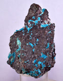 5.7cms DRUZY CHRYSOCOLLA QUARTZ Druzy Chile Inca de Oro Mineral Specimen D285