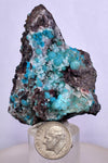5.7cms DRUZY CHRYSOCOLLA QUARTZ Druzy Chile Inca de Oro Mineral Specimen D285