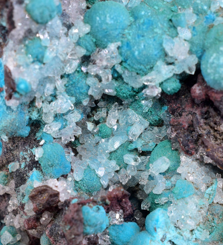5.7cms DRUZY CHRYSOCOLLA QUARTZ Druzy Chile Inca de Oro Mineral Specimen D285