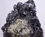 8.5cm MARCASITE BLADES Pyrite Chalcopyrite Sphalerite Galena Calcite Crystals Peru M263