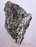 11.5cm MARCASITE BLADES Pyrite Chalcopyrite Sphalerite Galena Calcite Crystals Peru M264