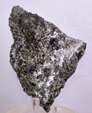 11.5cm MARCASITE BLADES Pyrite Chalcopyrite Sphalerite Galena Calcite Crystals Peru M264