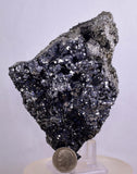 11.5cm MARCASITE BLADES Pyrite Chalcopyrite Sphalerite Galena Calcite Crystals Peru M264