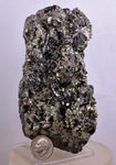 10cm MARCASITE BLADES Pyrite Chalcopyrite Sphalerite Galena Calcite Crystals Peru M265