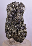 10cm MARCASITE BLADES Pyrite Chalcopyrite Sphalerite Galena Calcite Crystals Peru M265