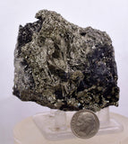 6.5cm MARCASITE BLADES Pyrite Chalcopyrite Sphalerite Galena Calcite Crystals Peru M266