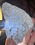 9.1cms GEM BLUE ANHYDRITE Nodule Bptryidal Crystals Peru Specimen C40