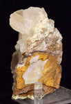 10.5cms SELENITE CRYSTALS Lily Mine Peru Gypsum Mineral Specimen T470