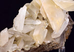 10.5cms SELENITE CRYSTALS Lily Mine Peru Gypsum Mineral Specimen T470