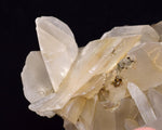 10.5cms SELENITE CRYSTALS Lily Mine Peru Gypsum Mineral Specimen T470