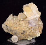 10.5cms SELENITE CRYSTALS Lily Mine Peru Gypsum Mineral Specimen T470
