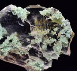 4.8cms CRYSOCOLLA INSIDE SELENITE Crystals  Peru Chrysocolla Gypsum Premium Mineral Specimen T472