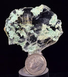 4.8cms CRYSOCOLLA INSIDE SELENITE Crystals  Peru Chrysocolla Gypsum Premium Mineral Specimen T472