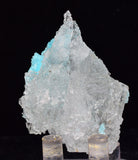 5.5cms NATURAL BLUE SALAMMONIAC Lecontite Botryoidal Crystals Chile Turquoise Color Rare Aesthetic Mineral Specimen U594
