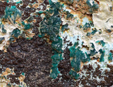 11cms DIOPTASE CRYSTALS QUARTZ Mineral Specimen Peru K94