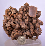 9cms ARAGONITE BOTRYOIDAL CRYSTALS Peru Mineral Specimen Collector E128