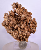 9.5cms ARAGONITE BOTRYOIDAL CRYSTALS Peru Mineral Specimen Collector E129