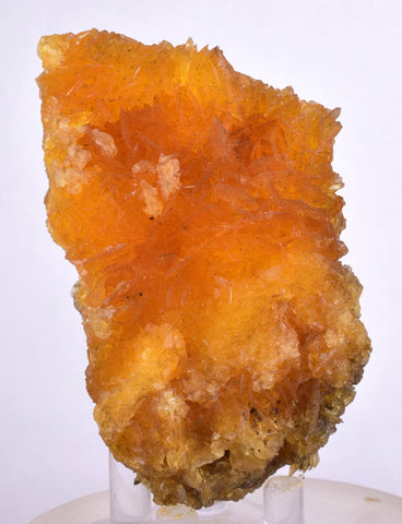 8cms GOLDEN SELENITE CRYSTALS Cluster Fish Tail Peru Yellow Gypsum Mineral Specimen T466