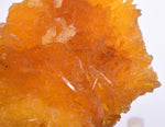 8cms GOLDEN SELENITE CRYSTALS Cluster Fish Tail Peru Yellow Gypsum Mineral Specimen T466